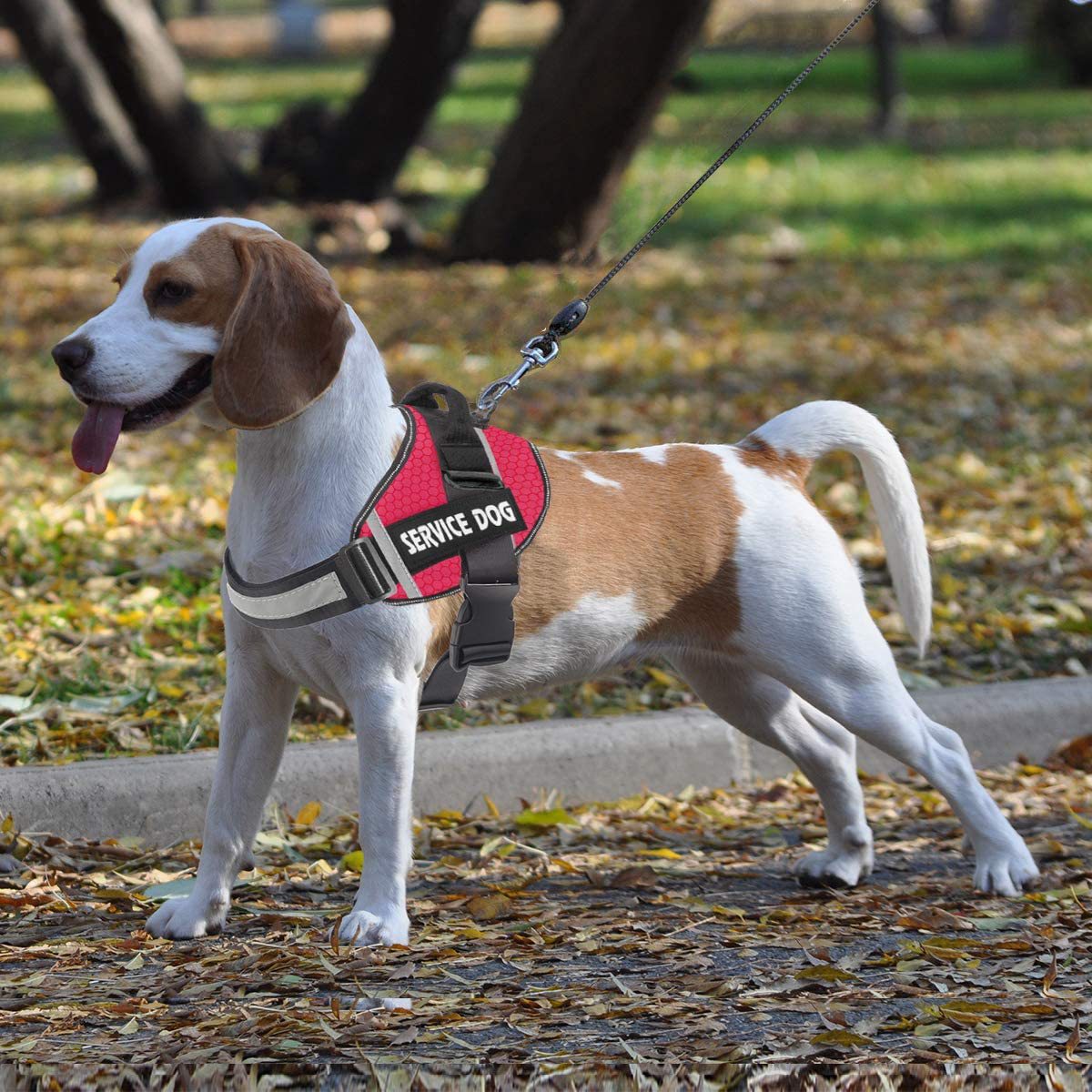 Reflective Comfortable Pet Harness Leash